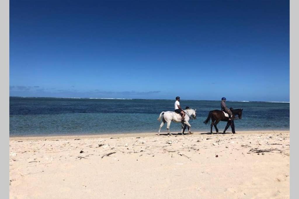 Appartement De Luxe Sur La Plage Riambel 外观 照片